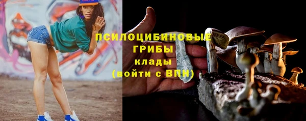 кокаин перу Вяземский