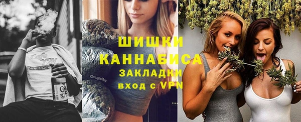 соль ск Вязьма