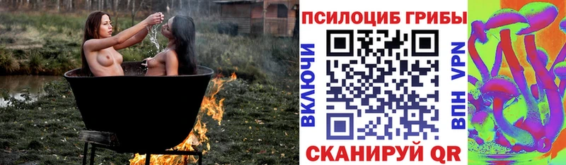 Галлюциногенные грибы Magic Shrooms  Гусев 